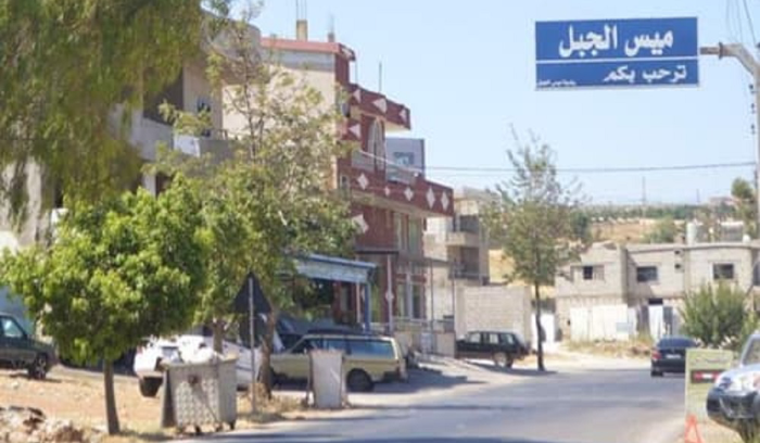 فقدان الاتصال 4 مع مسنّين في ميس الجبل