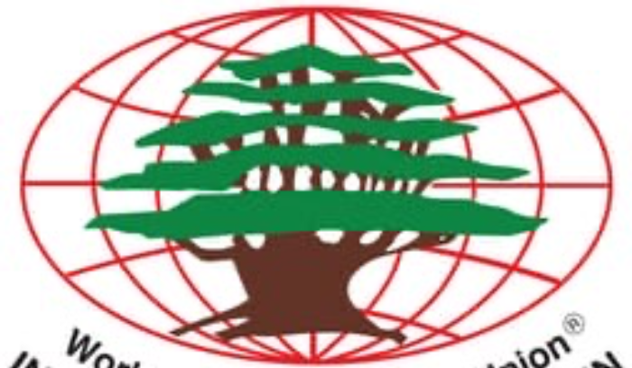 الجامعة اللبنانية الثقافية في رسالة لغوتيريش: لوقف هذه الاعتداءات المتكررة وحماية التراث اللبناني من التدمير المنهجي