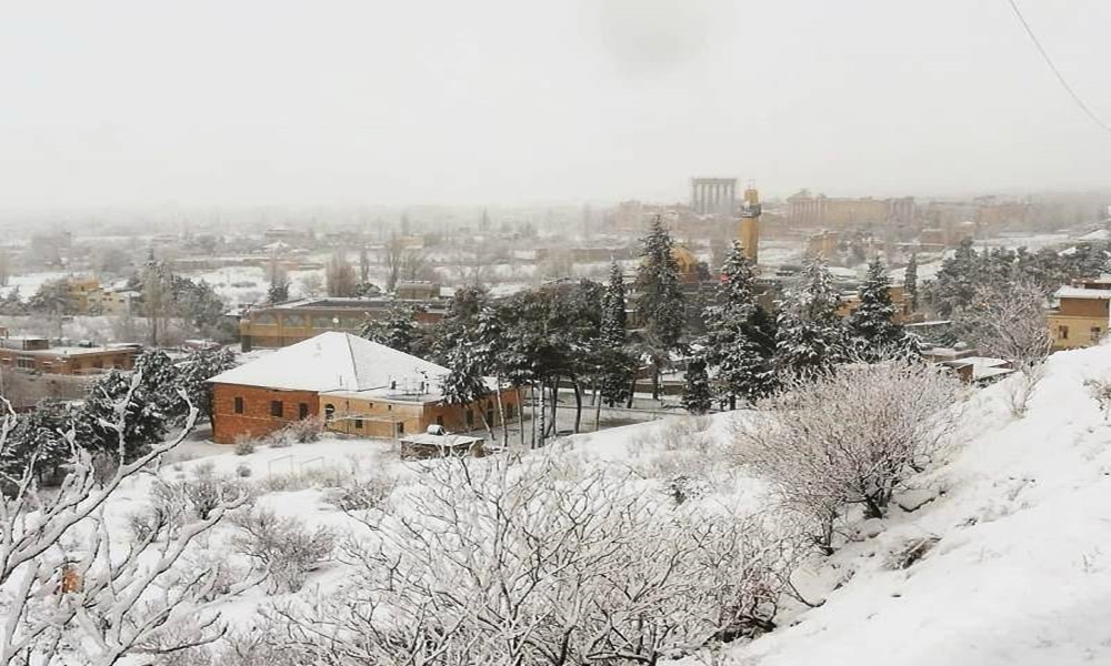 التحكم المروري: طريق عيناتا – الأرز مقطوعة