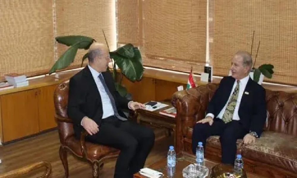 مكي والسفير الأميركي يبحثان تعزيز فعالية المؤسسات