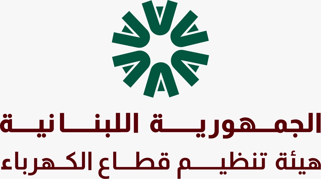 هيئة تنظيم قطاع الكهرباء تعرض لمهامها في الأشهر الثلاثة الأولى على تشكيلها