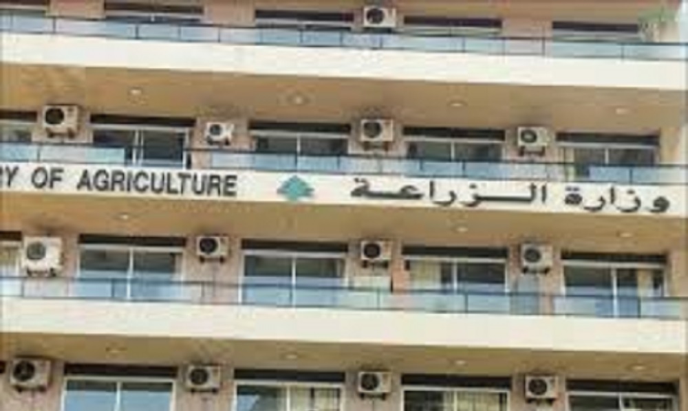 “الزراعة”: نواصل حملة تحصين الأبقار ضد الحمى القلاعية