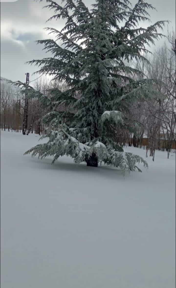 كيف هي حال الطرق الجبلية؟