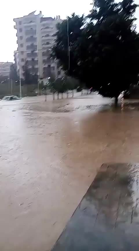 غزارة الأمطار تُغرق طرابلس والبداوي وتُحدث أضرارًا واسعة (فيديو)