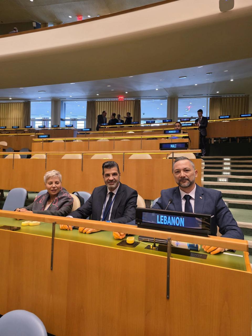 بقرار من مجلس الوزراء.. شربل شبير يمثّل لبنان بوفد رفيع في مفاوضات WSIS+20