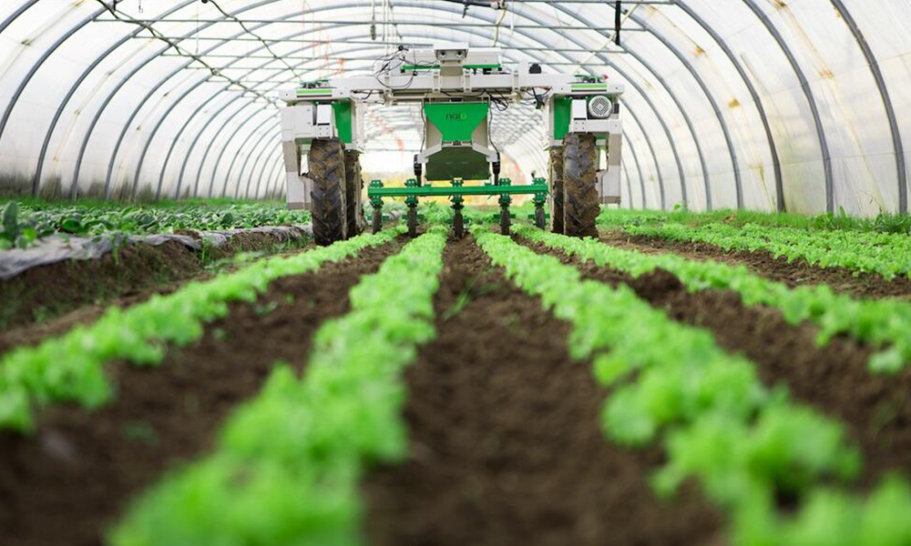 وزارة الزراعة: نتائج تؤكد رصد نمط SAT1 من الحمى القلاعية دخل لبنان