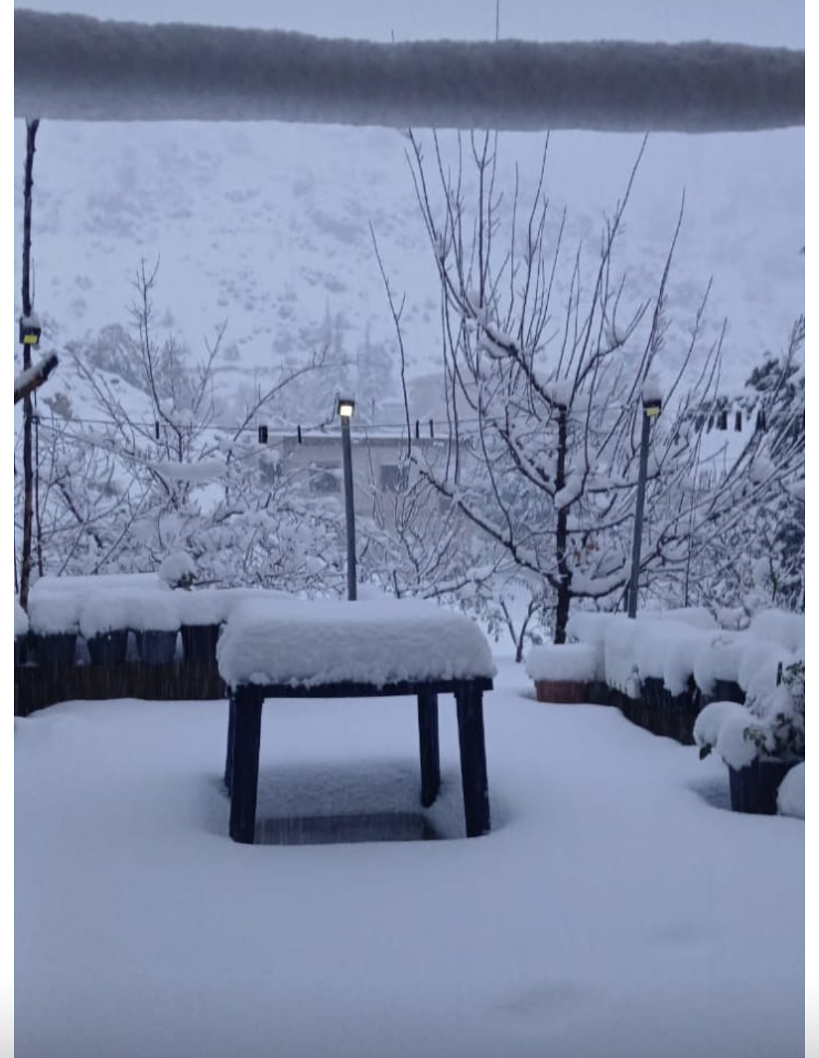 منخفض قطبي شديد يضرب لبنان: أمطار غزيرة وثلوج تلامس الألف متر وتحذيرات من السيول والجليد