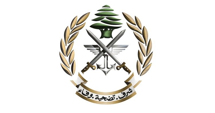 الجيش: تفجير ذخائر غير منفجرة في بلدتَي شويا ورامية