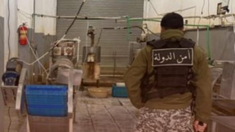 معمل للبطاطا... لا يستوفي الشروط الصحية