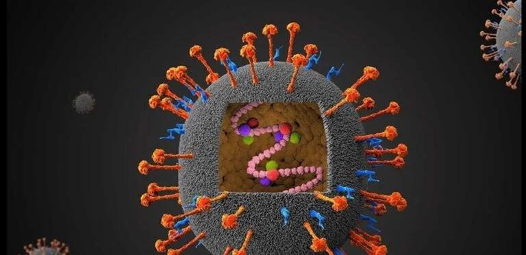 فيروس أكثر فتكاً من “كورونا”… لا شفاء منه ينتشر بسرعة