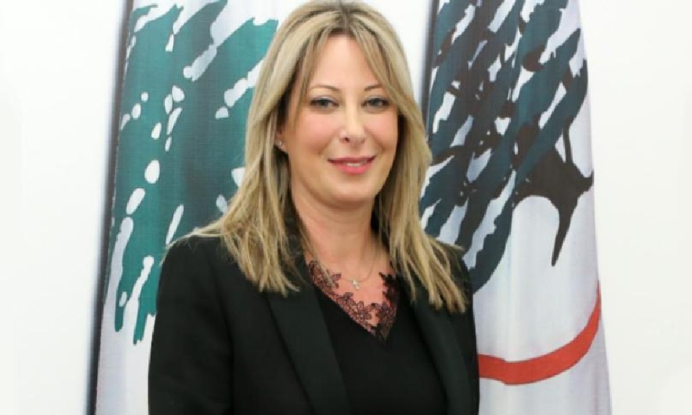 أيوب: نحتفظ بحقّنا في الطعن ببعض مواد الموازنة