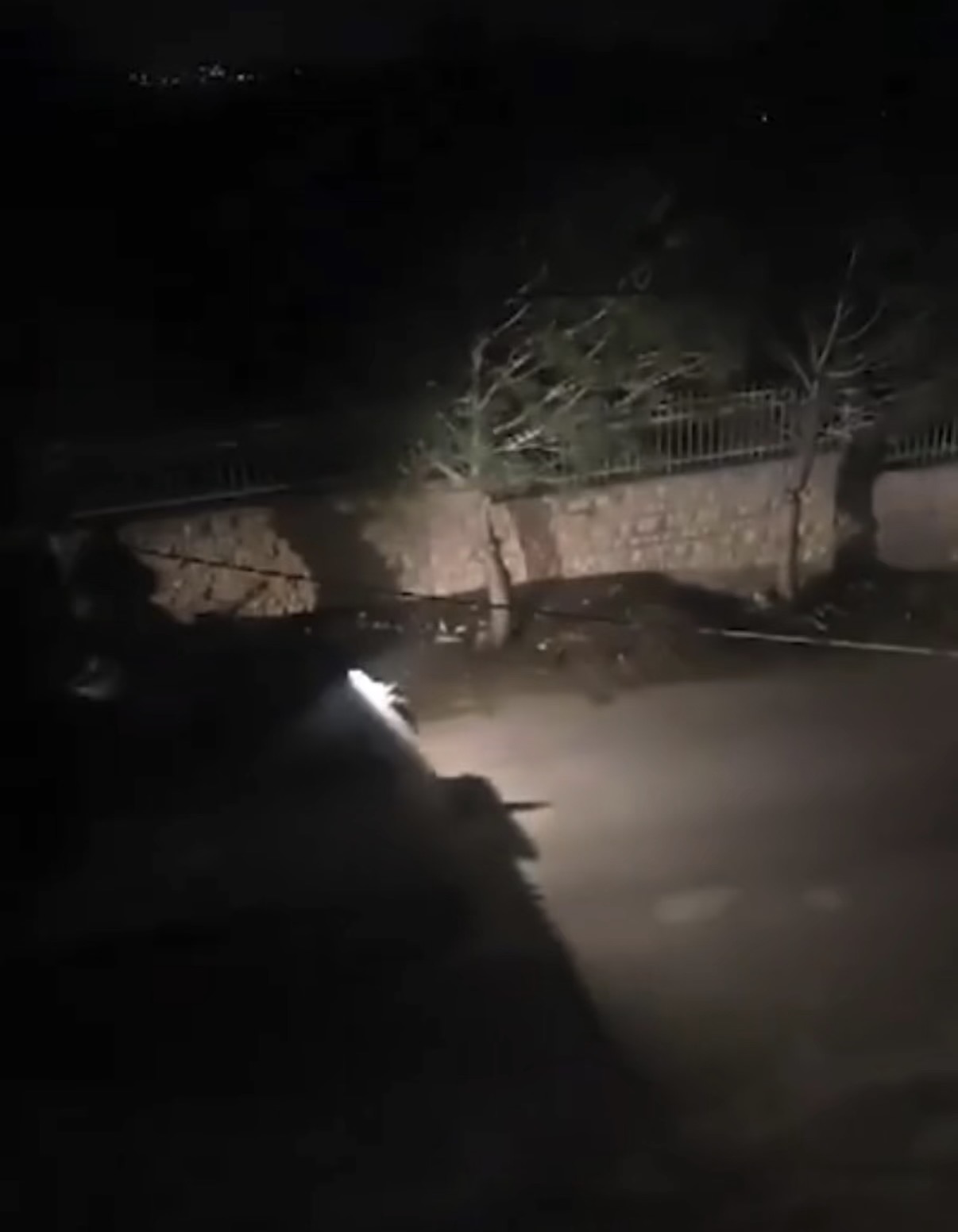 بالفيديو - الجيش اللبناني يسيّر دوريات في يارون بعد توغّل إسرائيلي