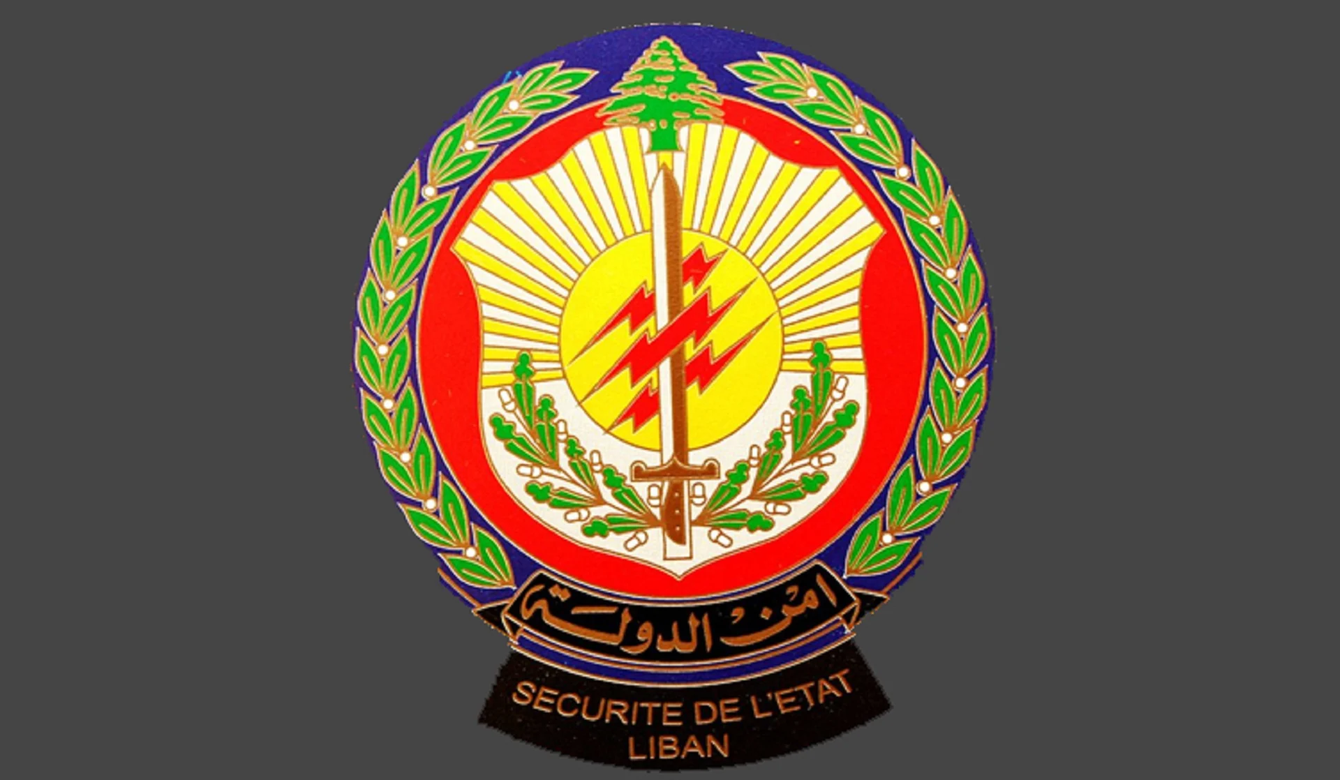 ضبط مكملات تنحيف منتهية الصلاحية في بيروت