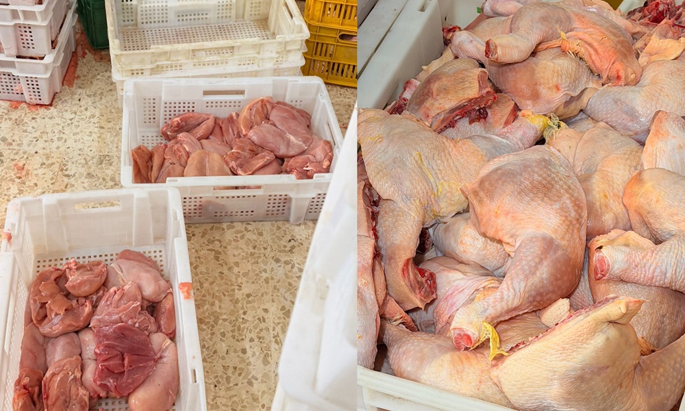 إجراءات الوقاية من عدوى السالمونيلا