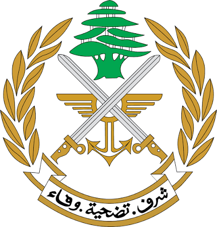 الجيش يتدخل بعد تلقي سكان منزل في الحلوسية اتصالاً مشبوهًا