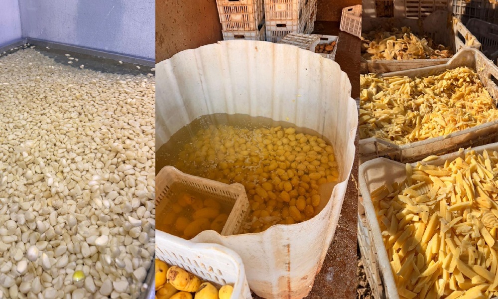 أطنان من الثوم والبطاطا الفاسدة