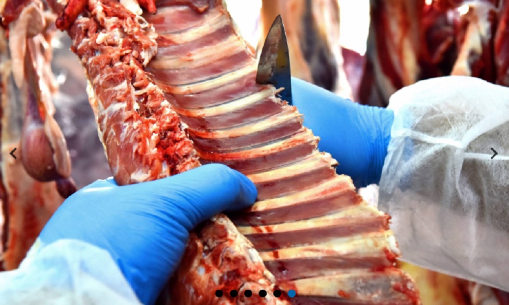 ضبط نحو 150 كيلوغرامًا من اللحوم الفاسدة في صور