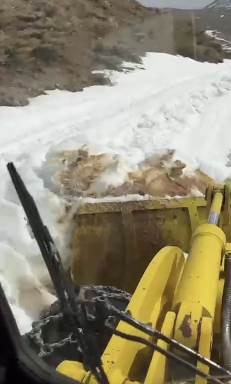 “الأشغال” تواصل جرف الثلوج وفتح طريق فنيدق–مرجحين–الهرمل