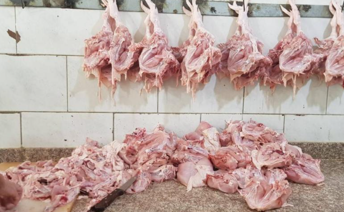 إقفال محلّين لبيع الدجاج في برج الشمالي