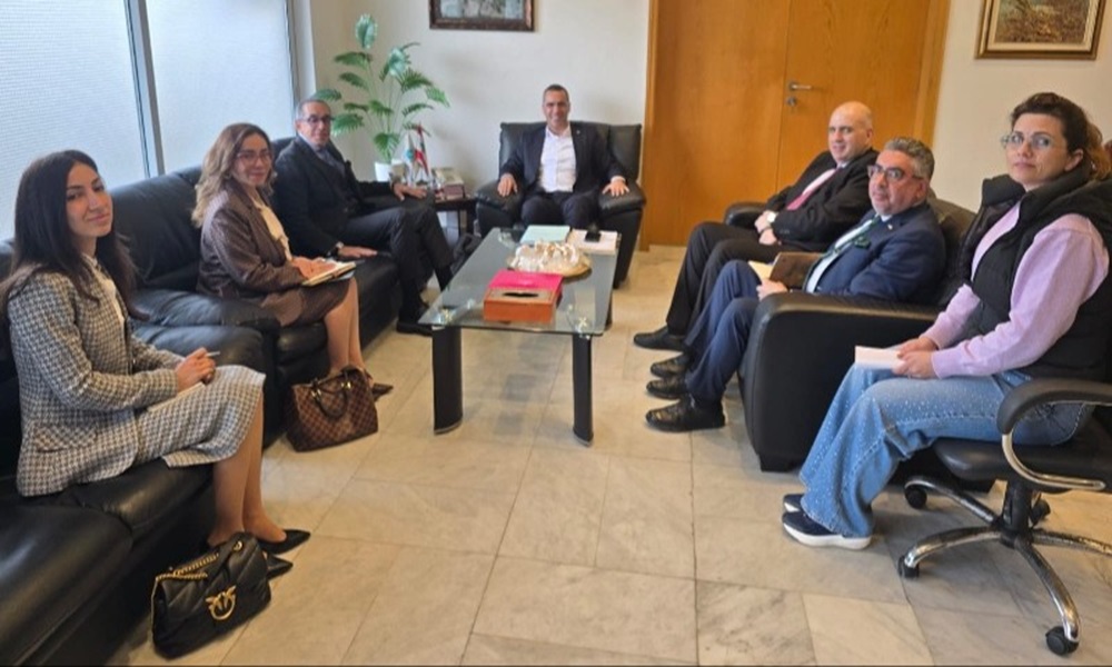 وزير الزراعة بحث مع سفير مصر تنظيم استيراد البطاطا