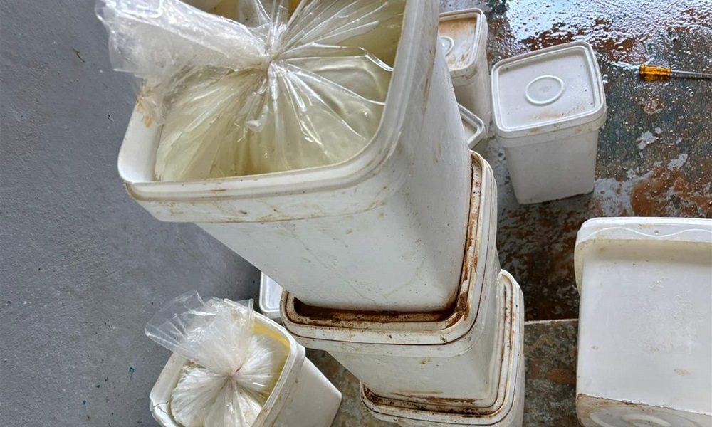 ضبط كمية من الأجبان الفاسدة