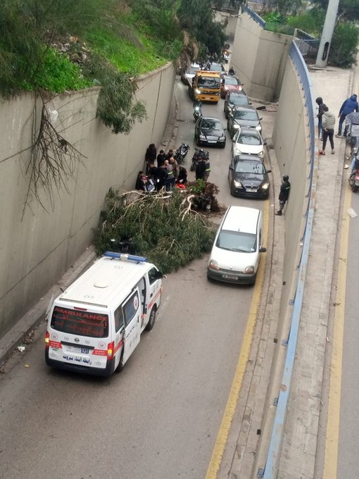 سقوط شجرة على شخص يقود دراجة نارية قبل نفق شاتيلا