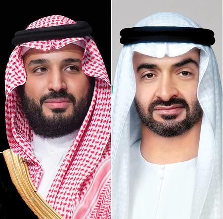 رئيس الإمارات يتلقى اتصالا هاتفيا من ولي عهد السعودية