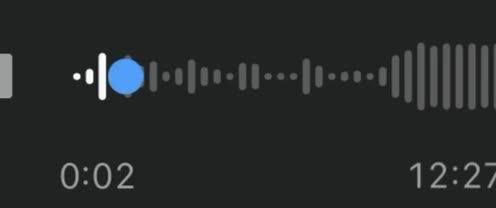 وكالة “الأحداث 24” تنشر آخر رسالة صوتية لرئيس بلدية جويا فوزي فواز قبل استشهاده