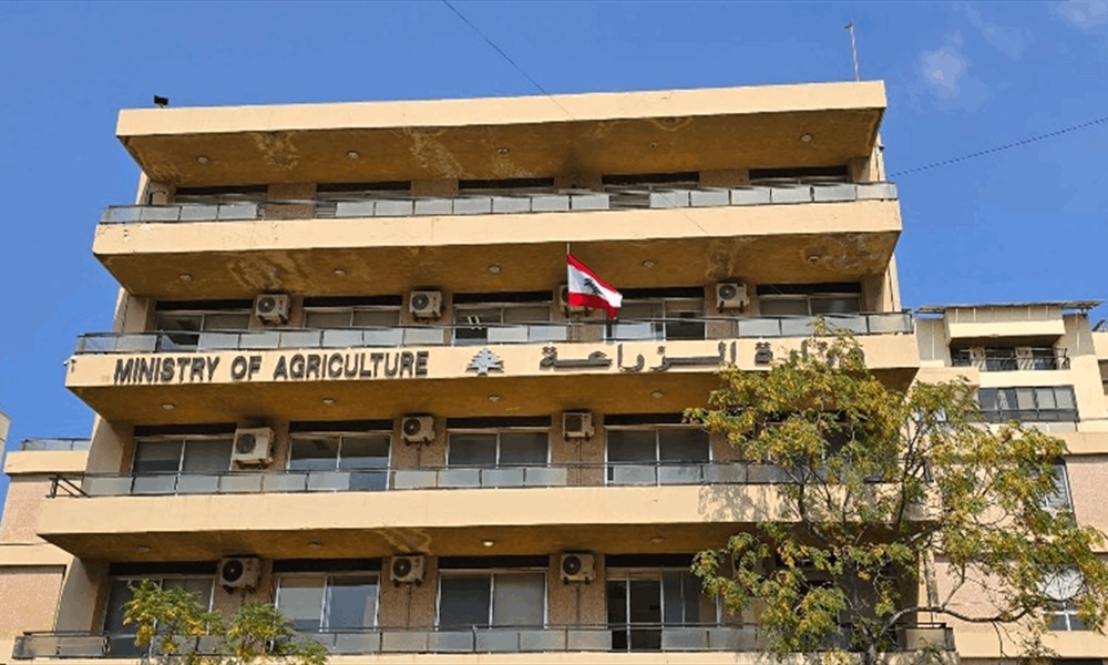 وزارة الزراعة: الإنتاج المحلي متوافر ومستقرّ