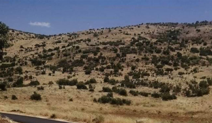 توجّه إسرائيلي لتوسيع الحدود الشمالية 8 كيلومترات؟