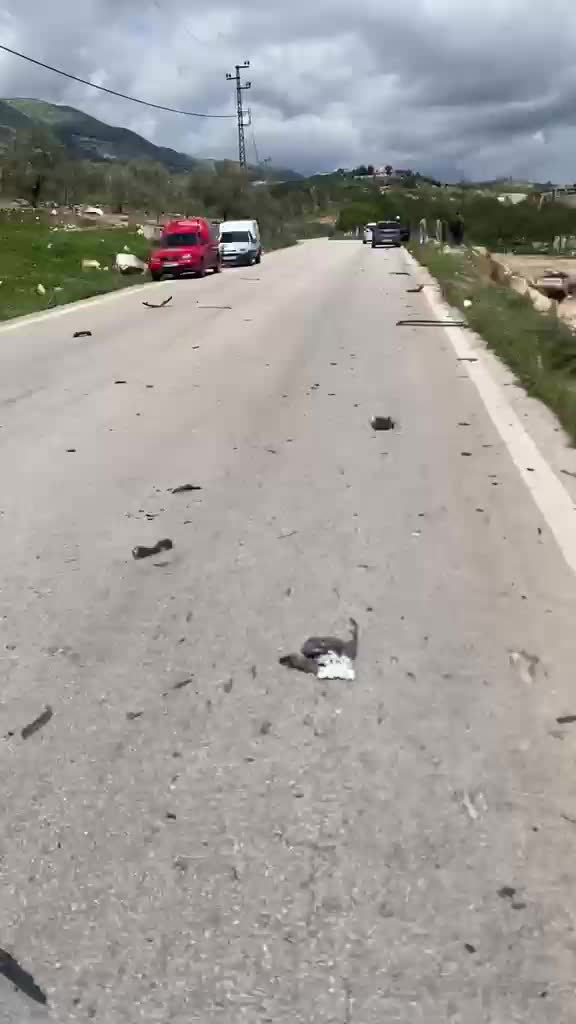 غارة من مسيرة استهدفت بيك آب في منطقة زمريا