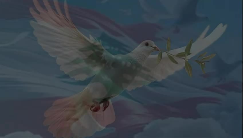 بالفيديو - “سلام Salam”… أغنية جديدة لزياد مراد تصرخ في وجه الحرب وتدعو للسلام