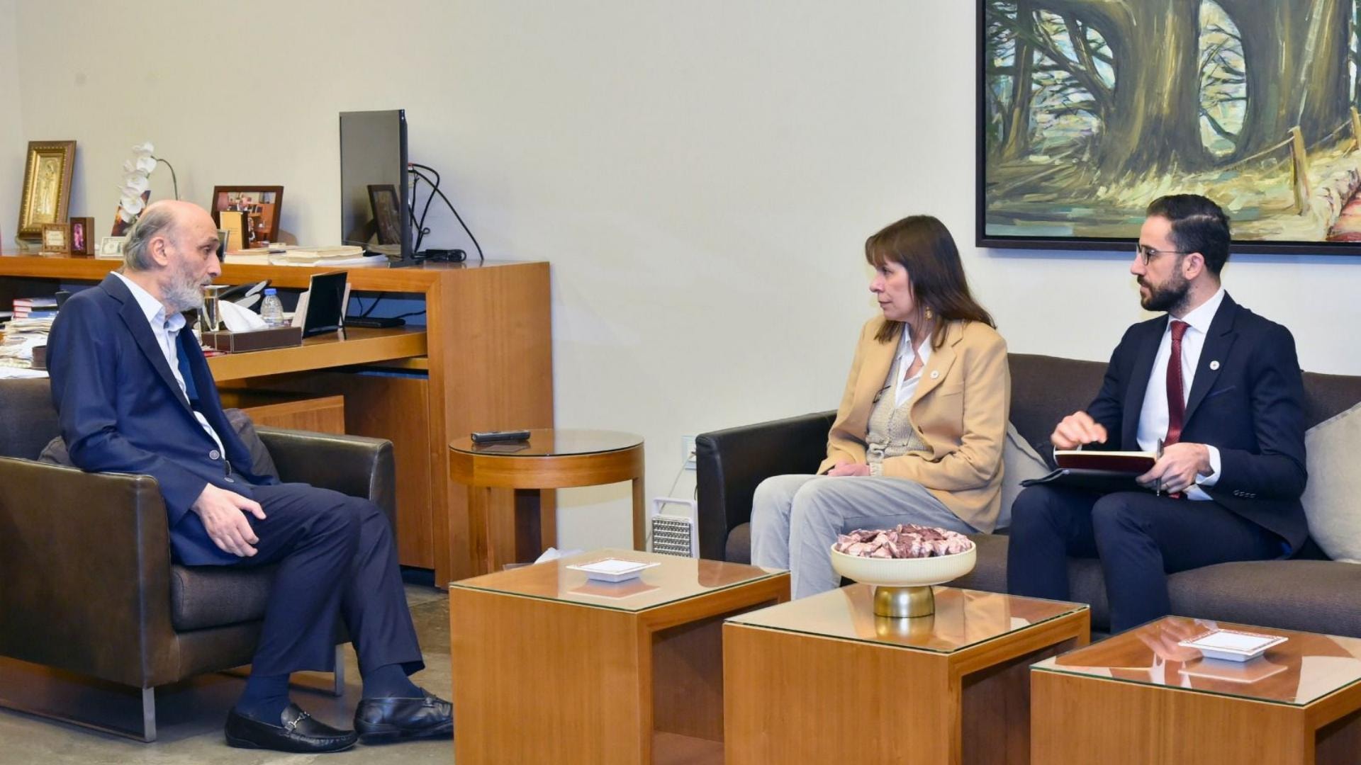 جعجع بحث مع رئيسة البعثة الدولية للصليب الأحمر في أوضاع القرى الحدودية