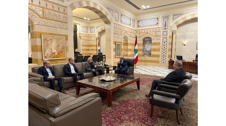 رئيس الحكومة استقبل جنبلاط وأبو فاعور