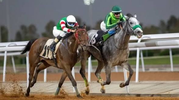 إدارة ميدان سباق الخيل ترحّب بتفكيك شبكة مراهنات غير شرعية وتحذّر من تهديد مستقبل سباقات الخيل