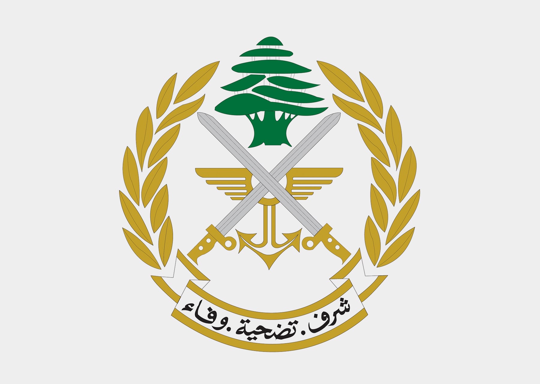 تمارين  للجيش بالذخيرة الحية في القاع وكفرقوق: لعدم الاقتراب من مواقع التدريب